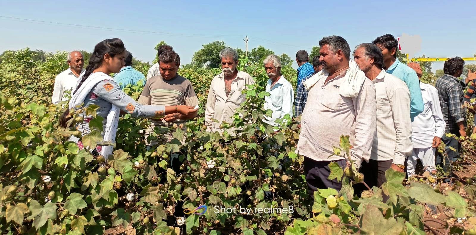 An On Farm Visit (Field Day) was conducted at the farm of a farmer named Ranabhai Hamirbhai Pada (Village: Lathi INGJ48). 30 farmers were present in this visit.